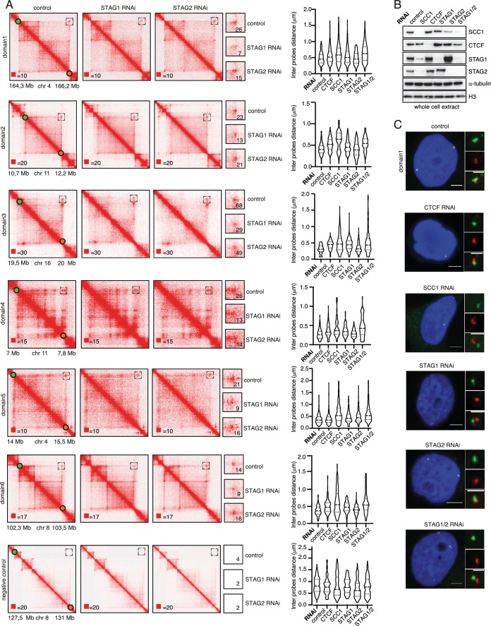 Figure 5—figure supplement 2.