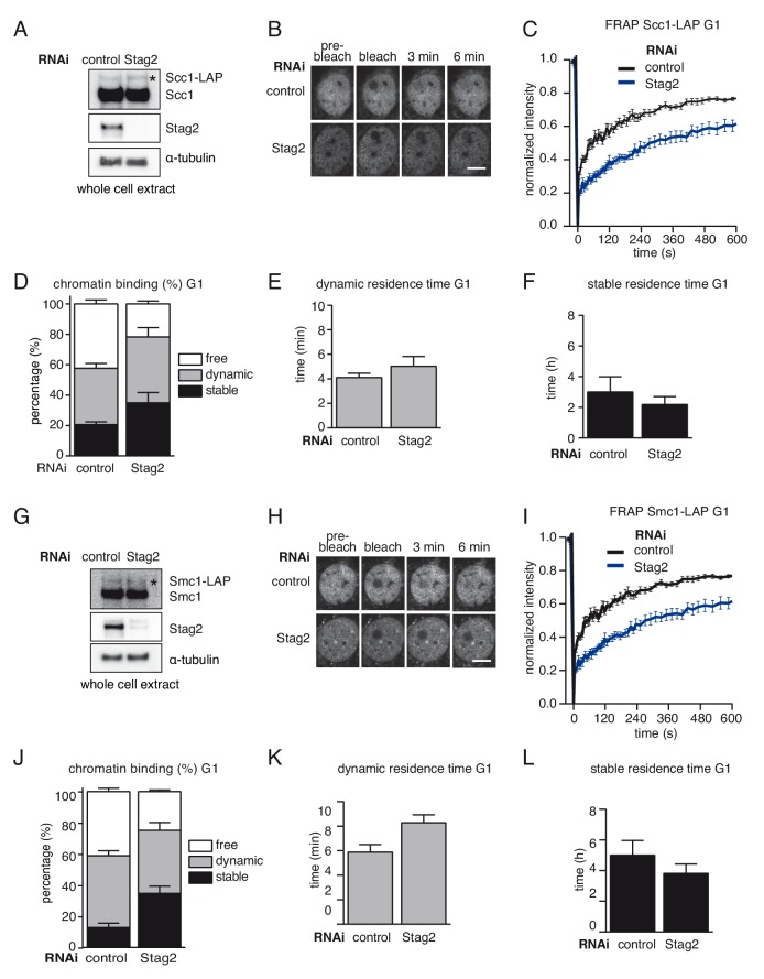 Figure 2—figure supplement 3.