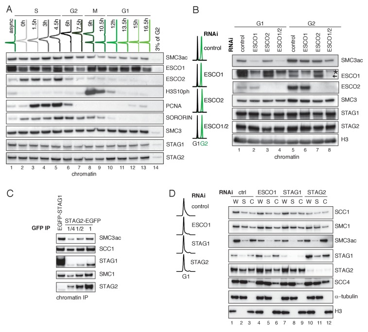 Figure 1—figure supplement 1.