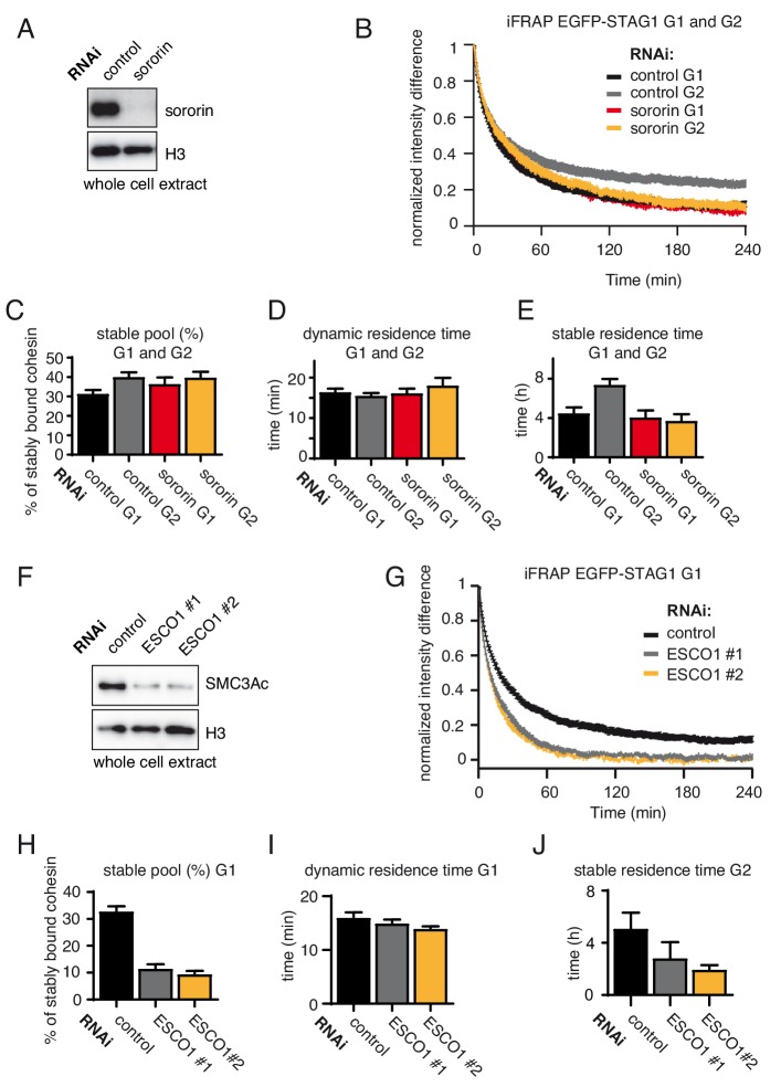 Figure 3—figure supplement 1.