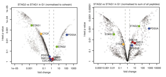 Figure 3—figure supplement 2.