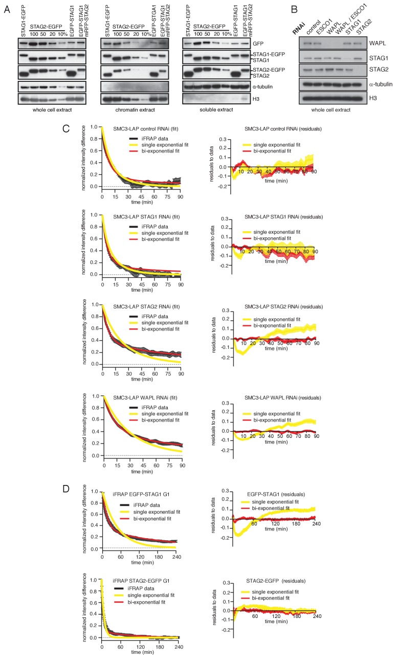 Figure 2—figure supplement 1.