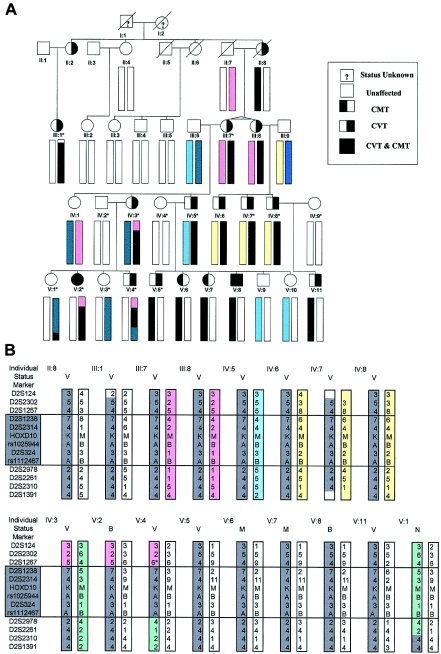 Figure  1