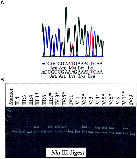 Figure  3