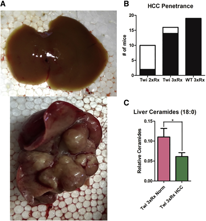 Figure 6