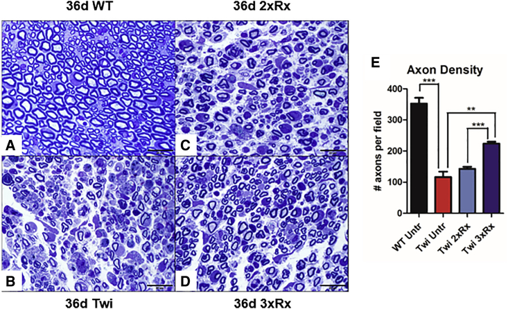 Figure 3