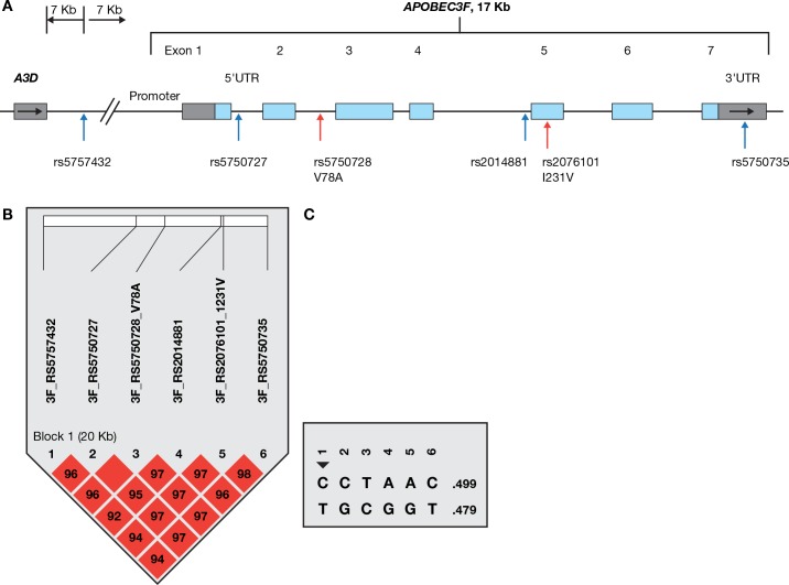 Fig 1