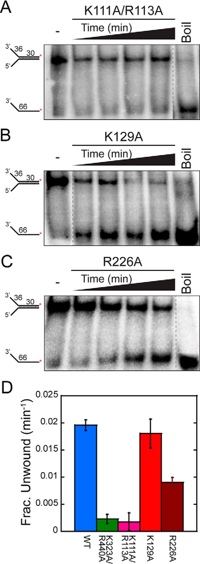 FIGURE 9.