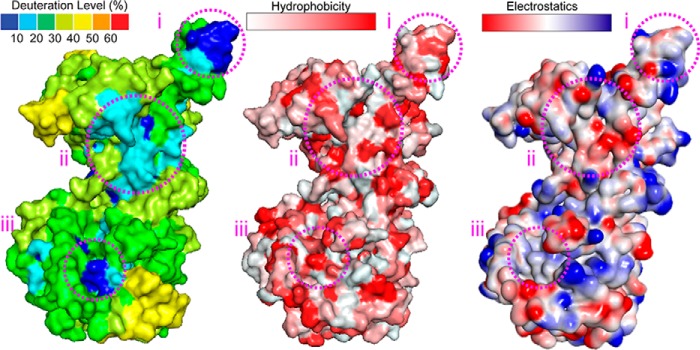 FIGURE 3.