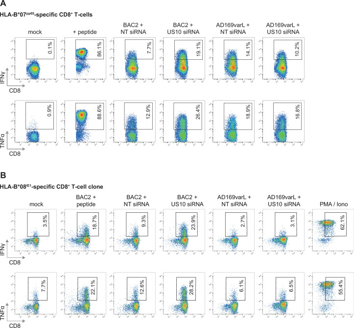 Figure 7—figure supplement 2.