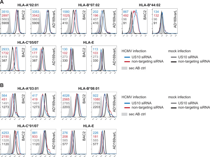 Figure 7—figure supplement 1.