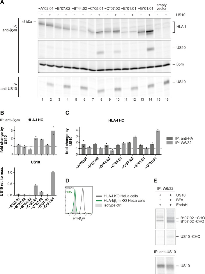 Figure 4—figure supplement 1.