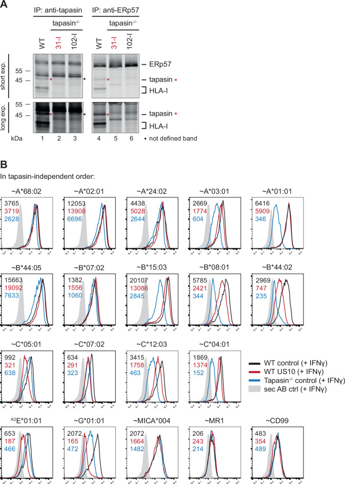 Figure 3—figure supplement 1.