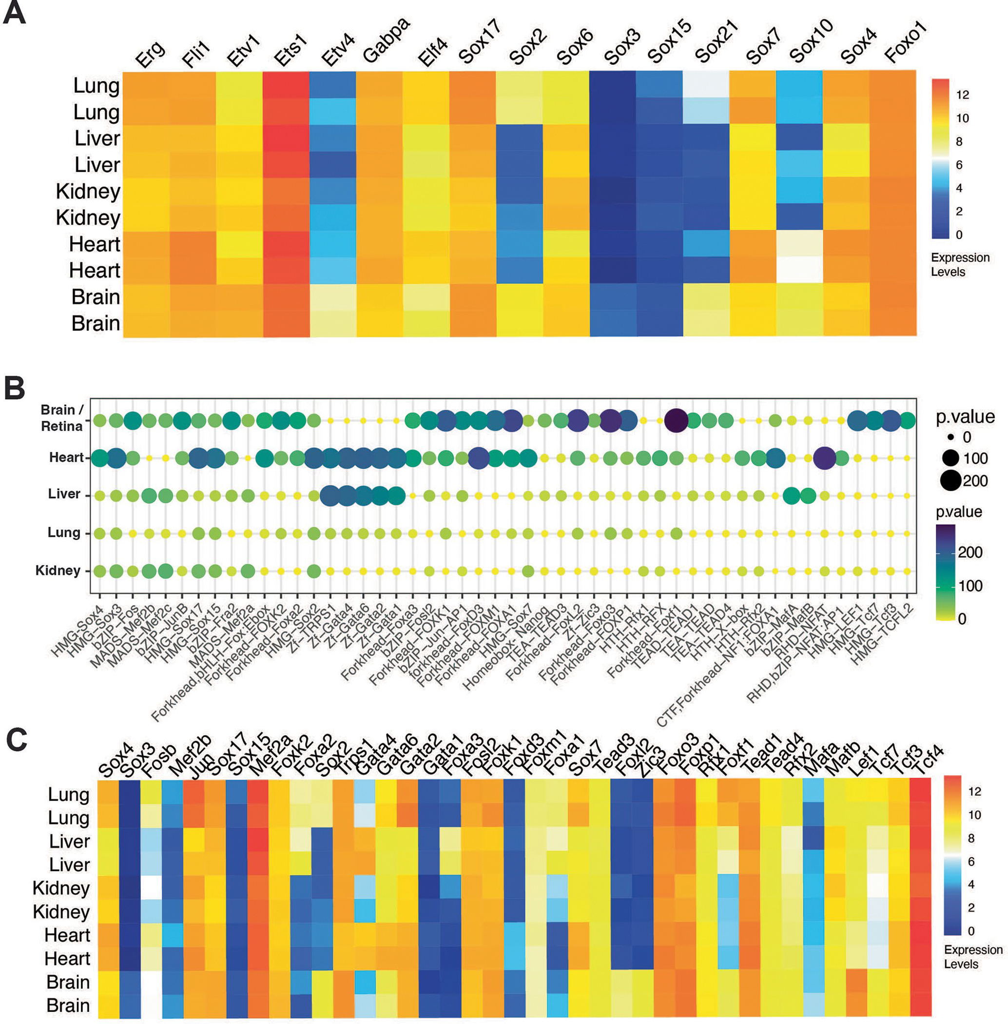 Extended Data Fig. 2 |