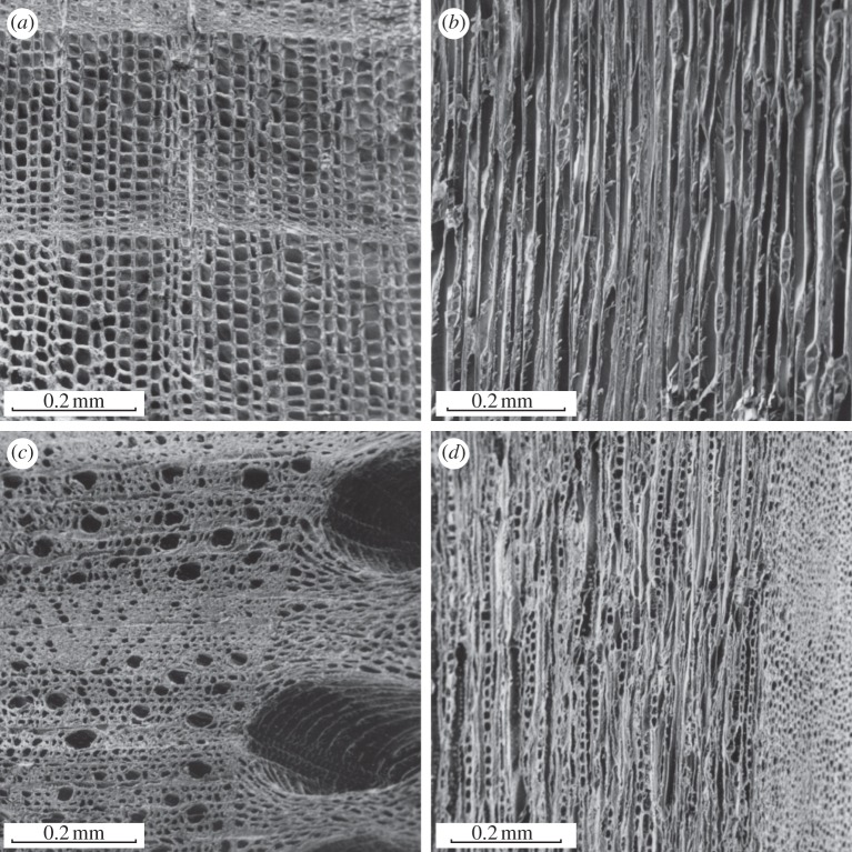 Figure 3.