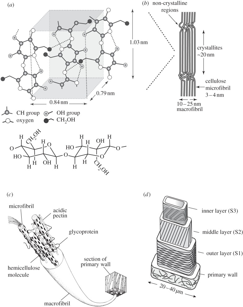 Figure 2.