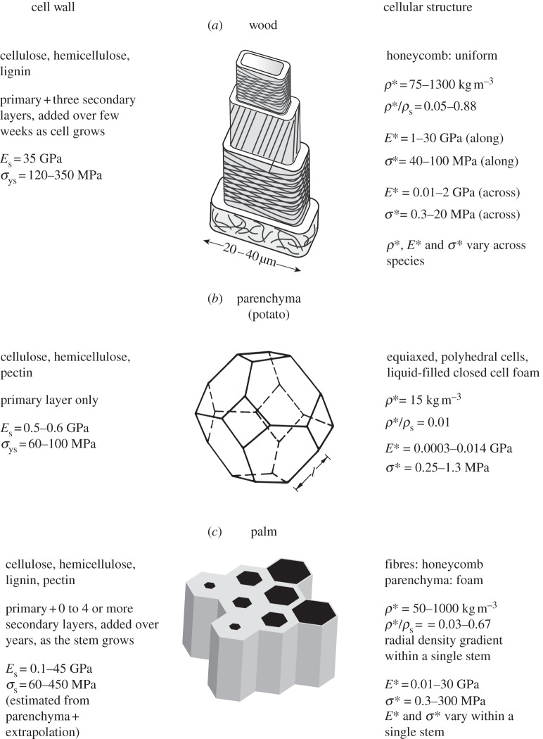 Figure 10.