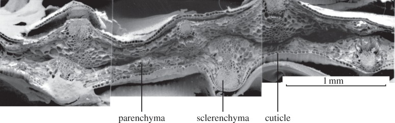 Figure 12.