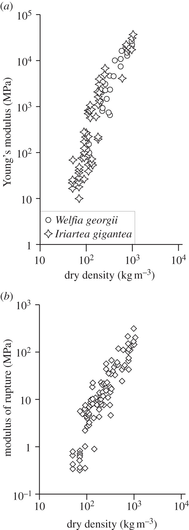 Figure 9.