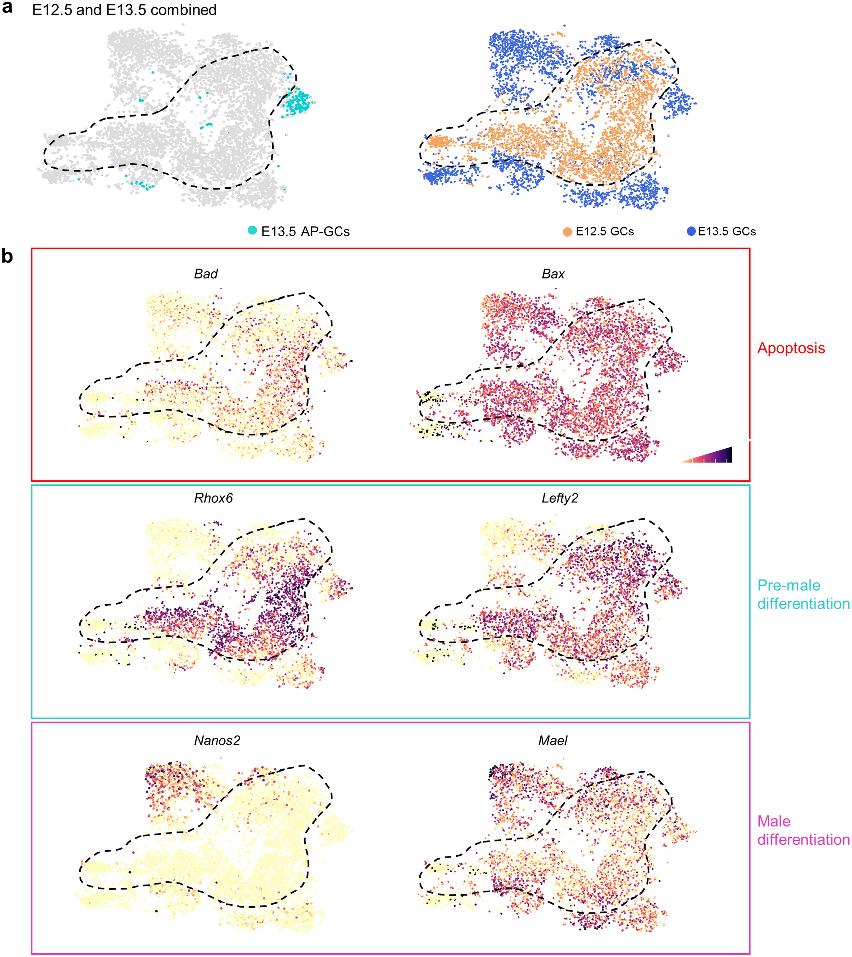 Extended Data Fig. 6