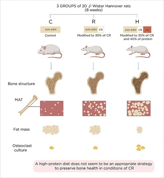 Graphical Abstract