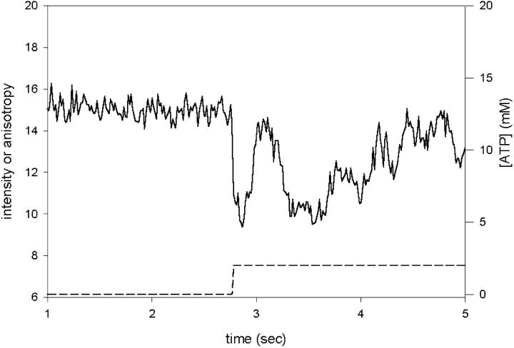 FIGURE 3