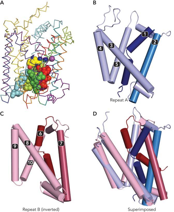 FIGURE 2