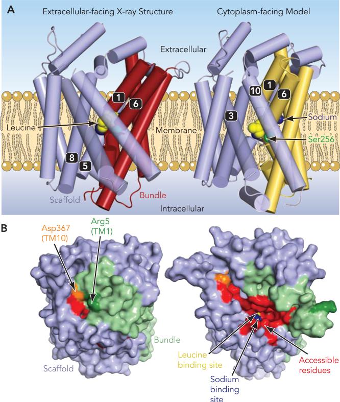 FIGURE 3