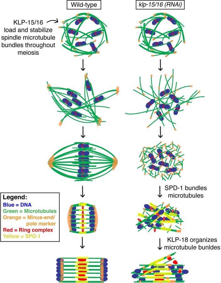 Fig 8