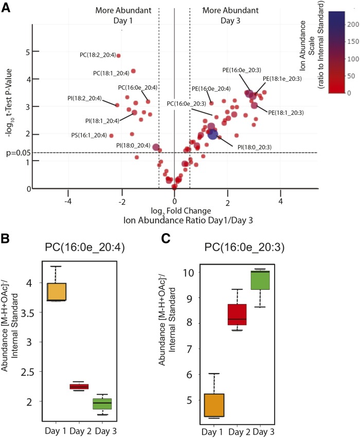 Fig. 4.