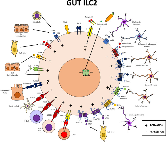 Figure 2