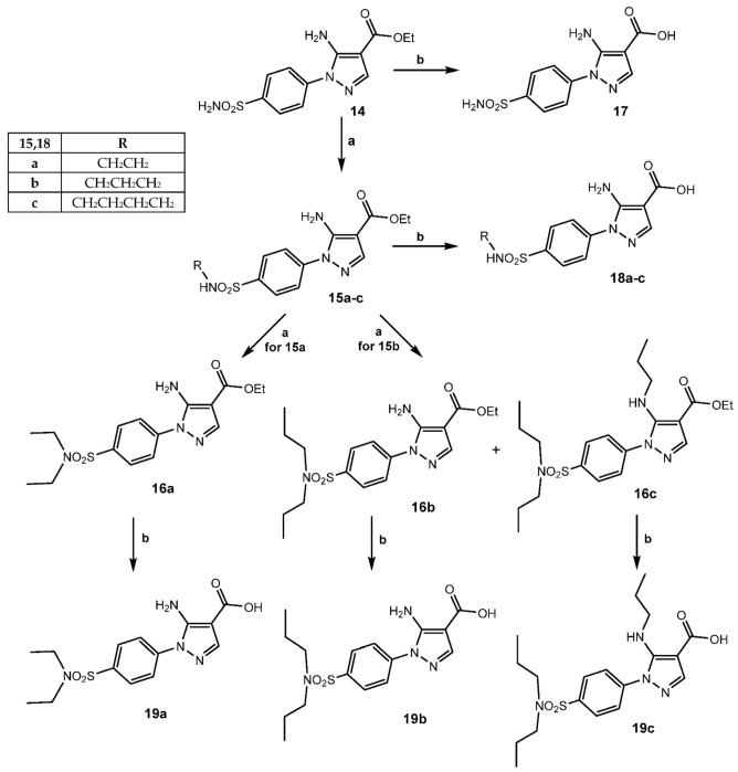 Scheme 4