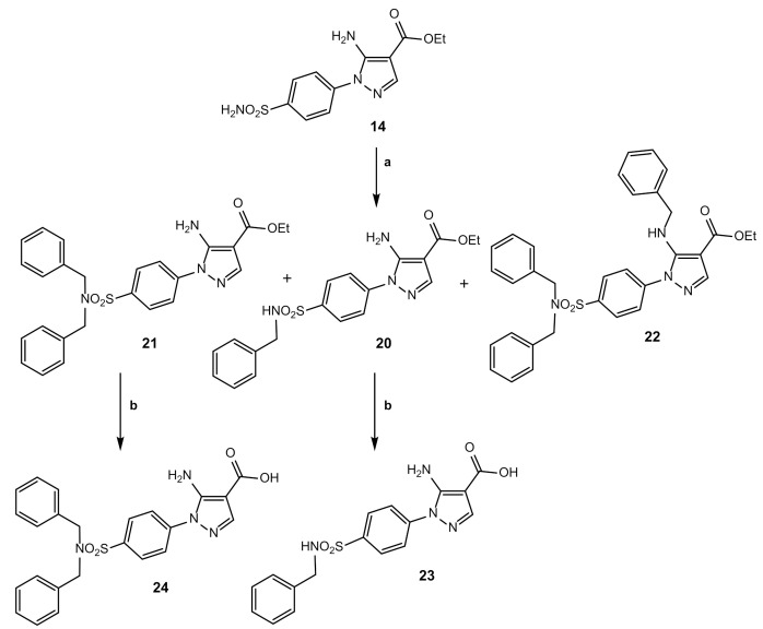 Scheme 5