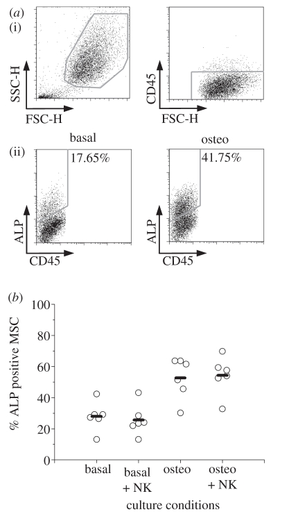 Figure 4.