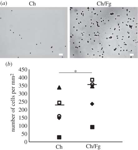 Figure 1.