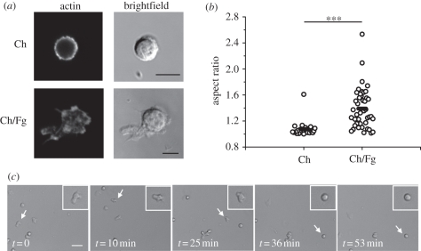 Figure 2.