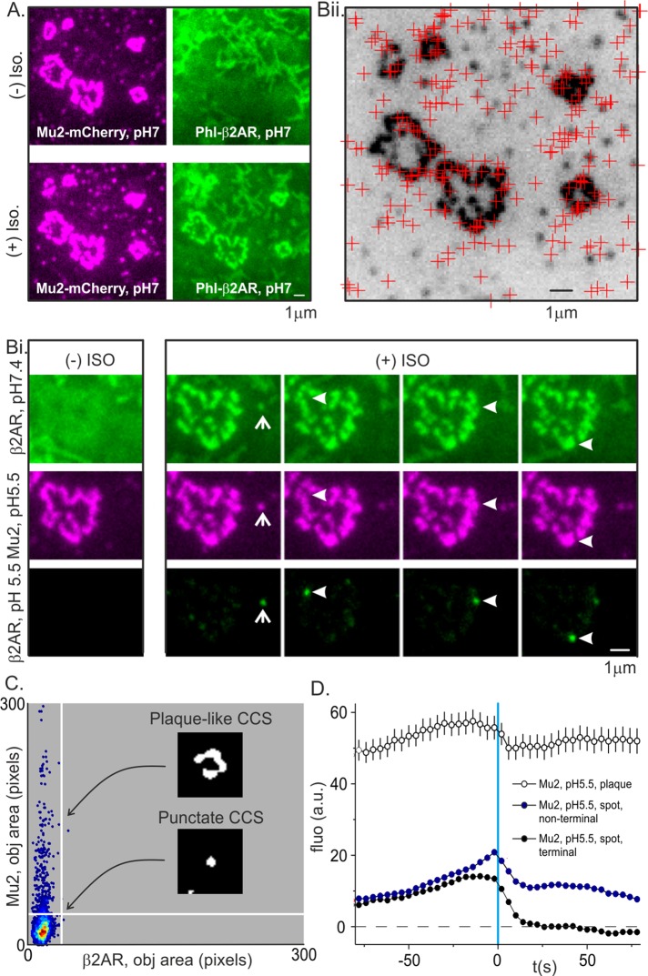 FIGURE 2: