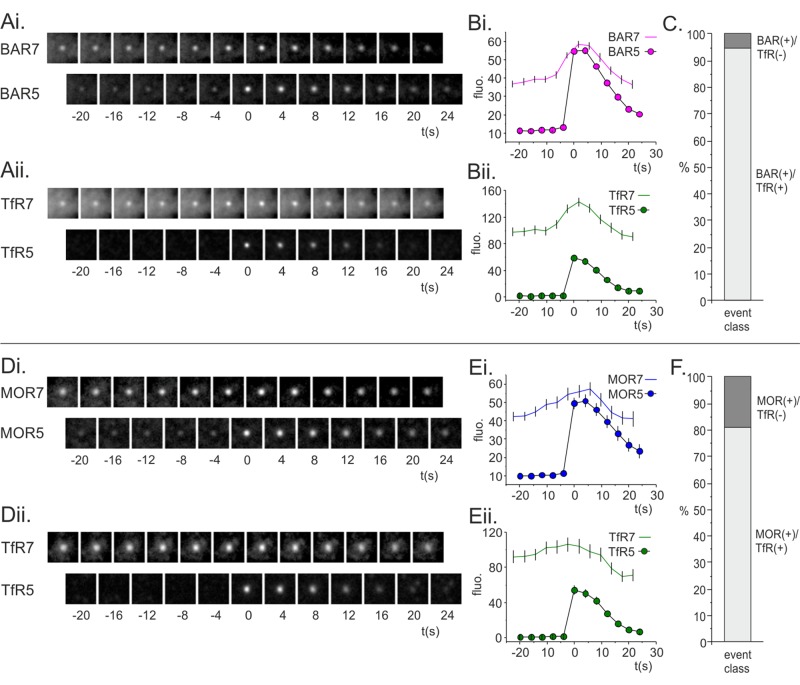 FIGURE 6: