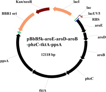 Fig. 6