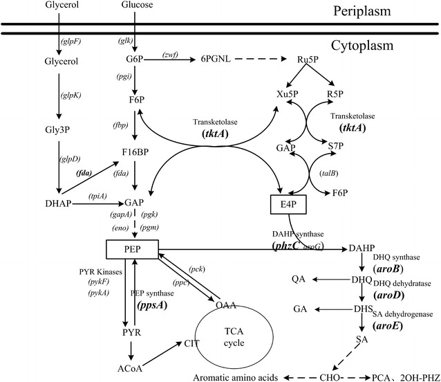 Fig. 1