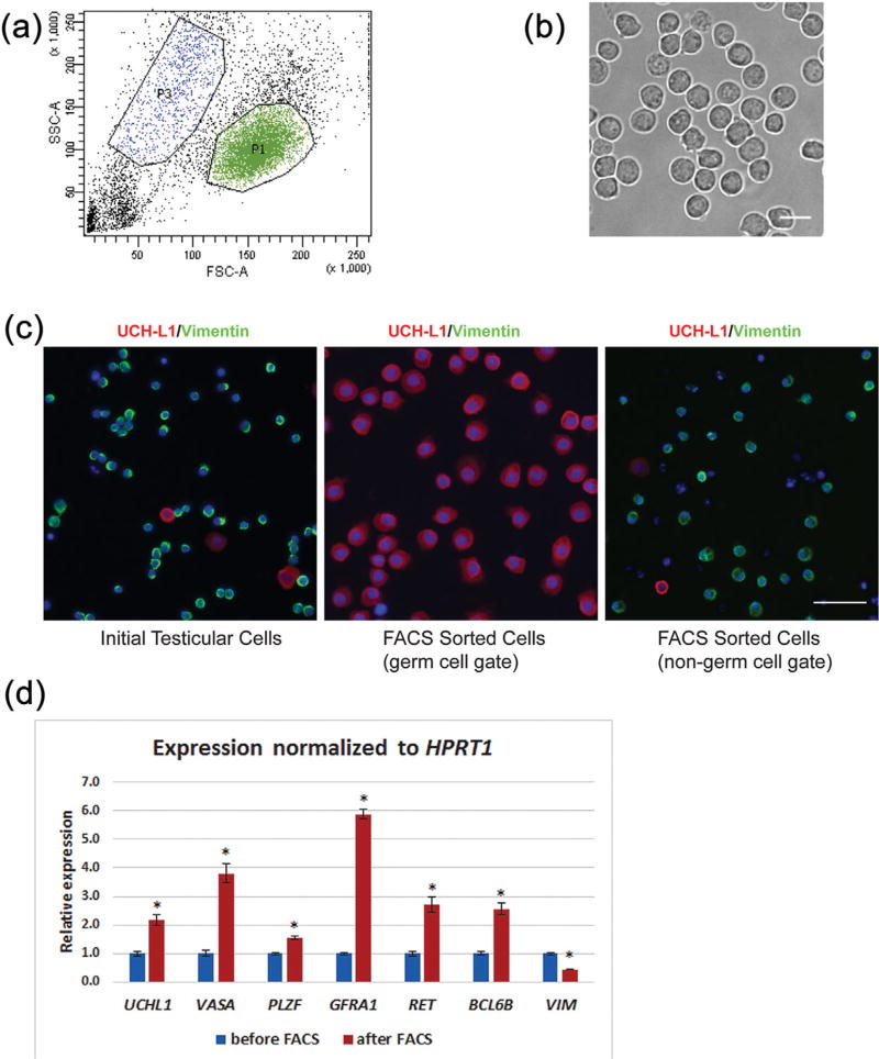 FIGURE 1