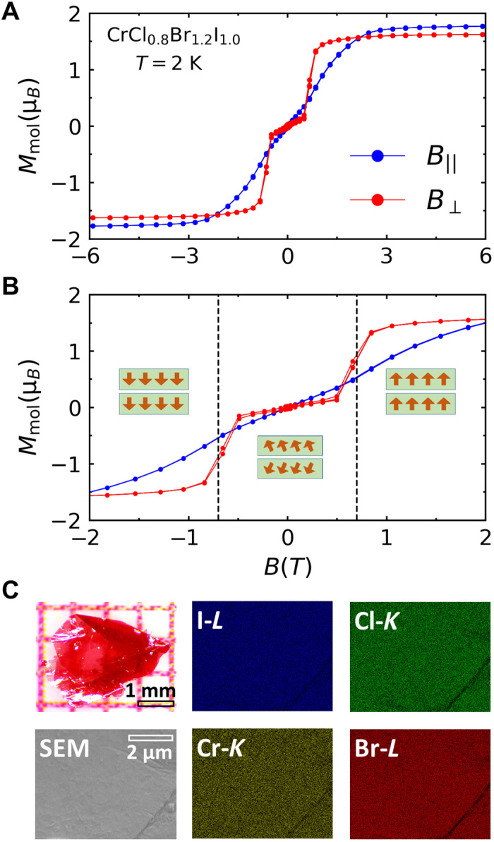 Fig. 6