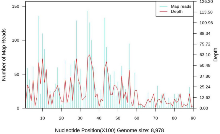 Fig. 2