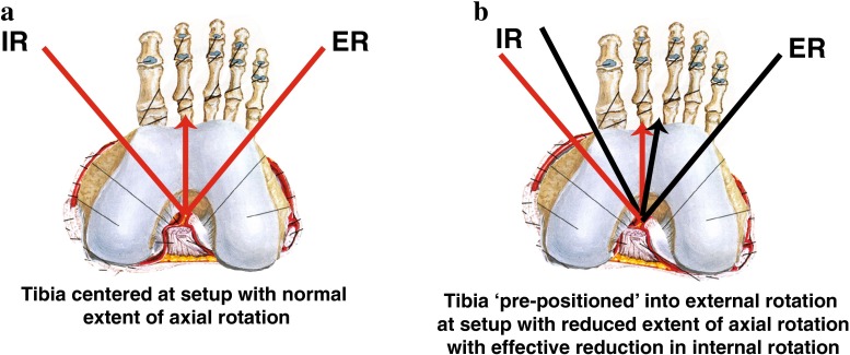 Fig. 9