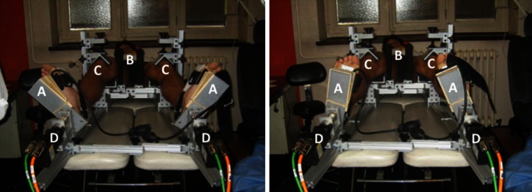 Fig. 2