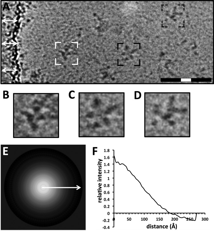 FIG 2