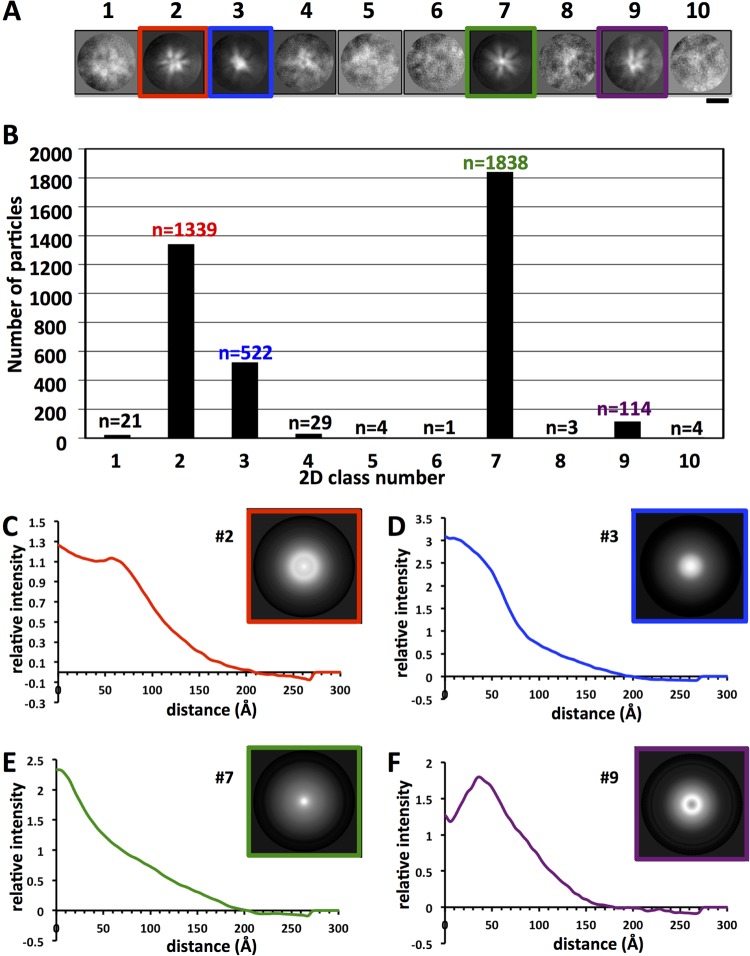 FIG 3