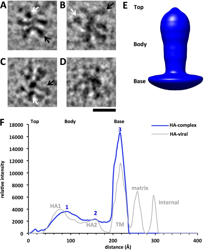 FIG 5