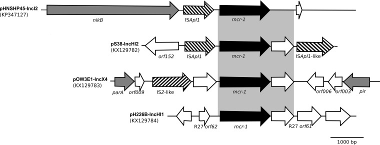 FIG 1