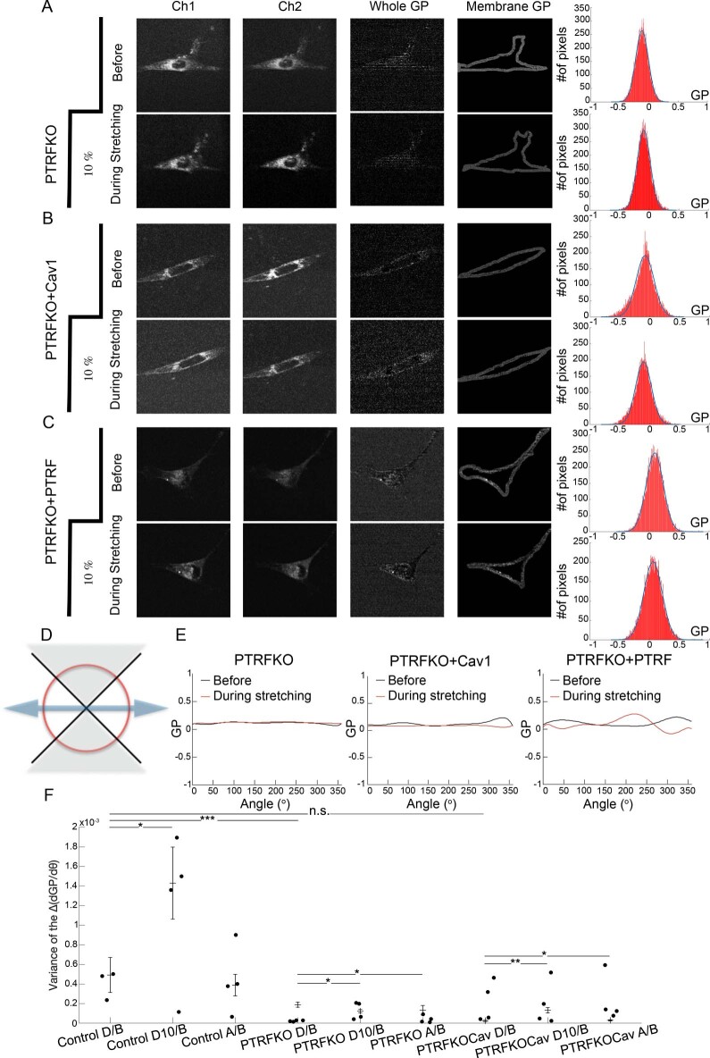 Extended Data Fig. 5